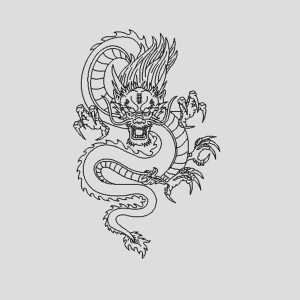 Poleron Polo Dragon Japones 0000